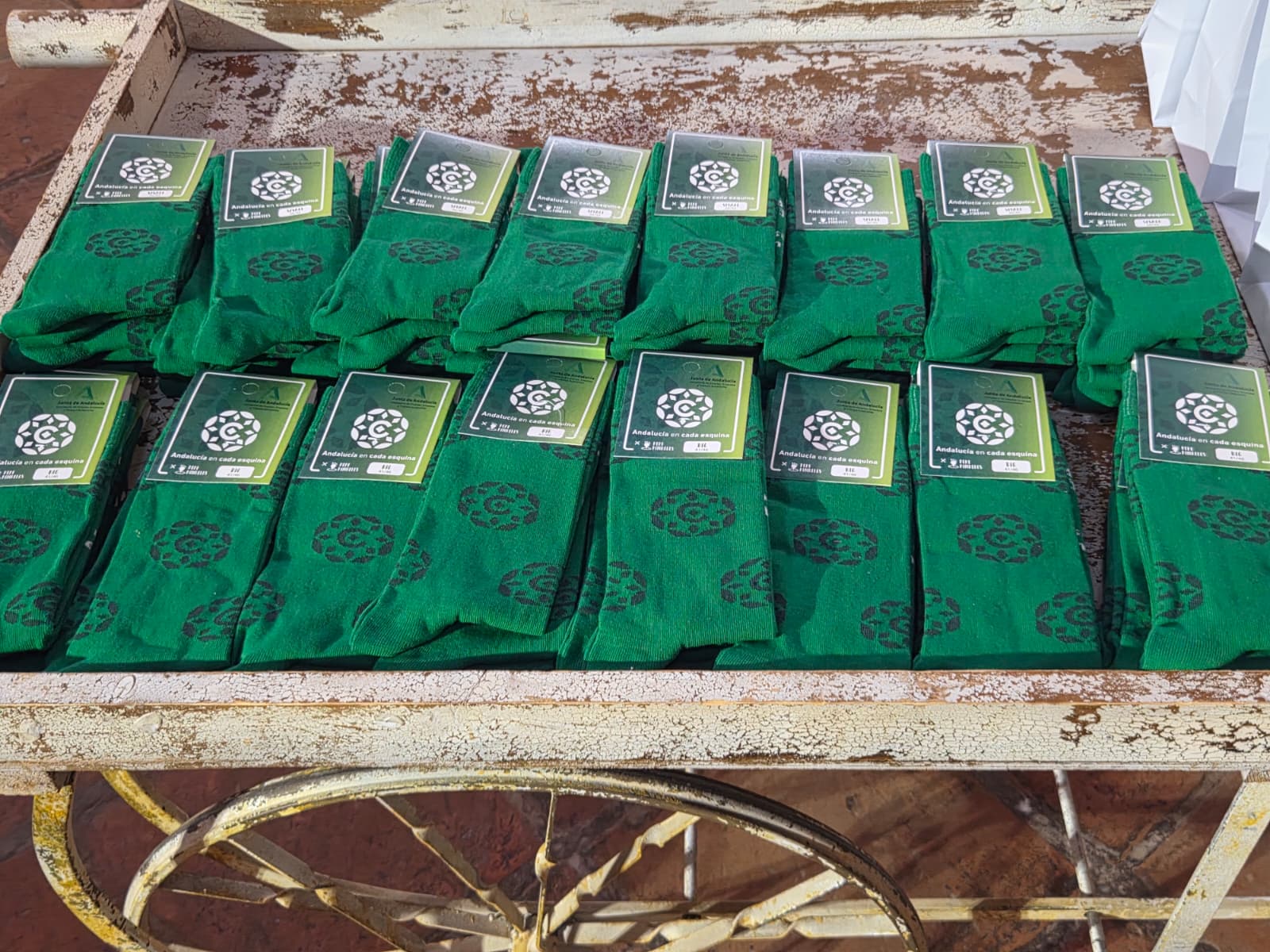 WhatsApp Image 2025 11 05 at 11.08.33