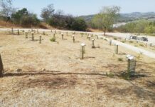 Polémica en el Trabuco por ‘El Bosque de los Niños’ en los Cien Caños