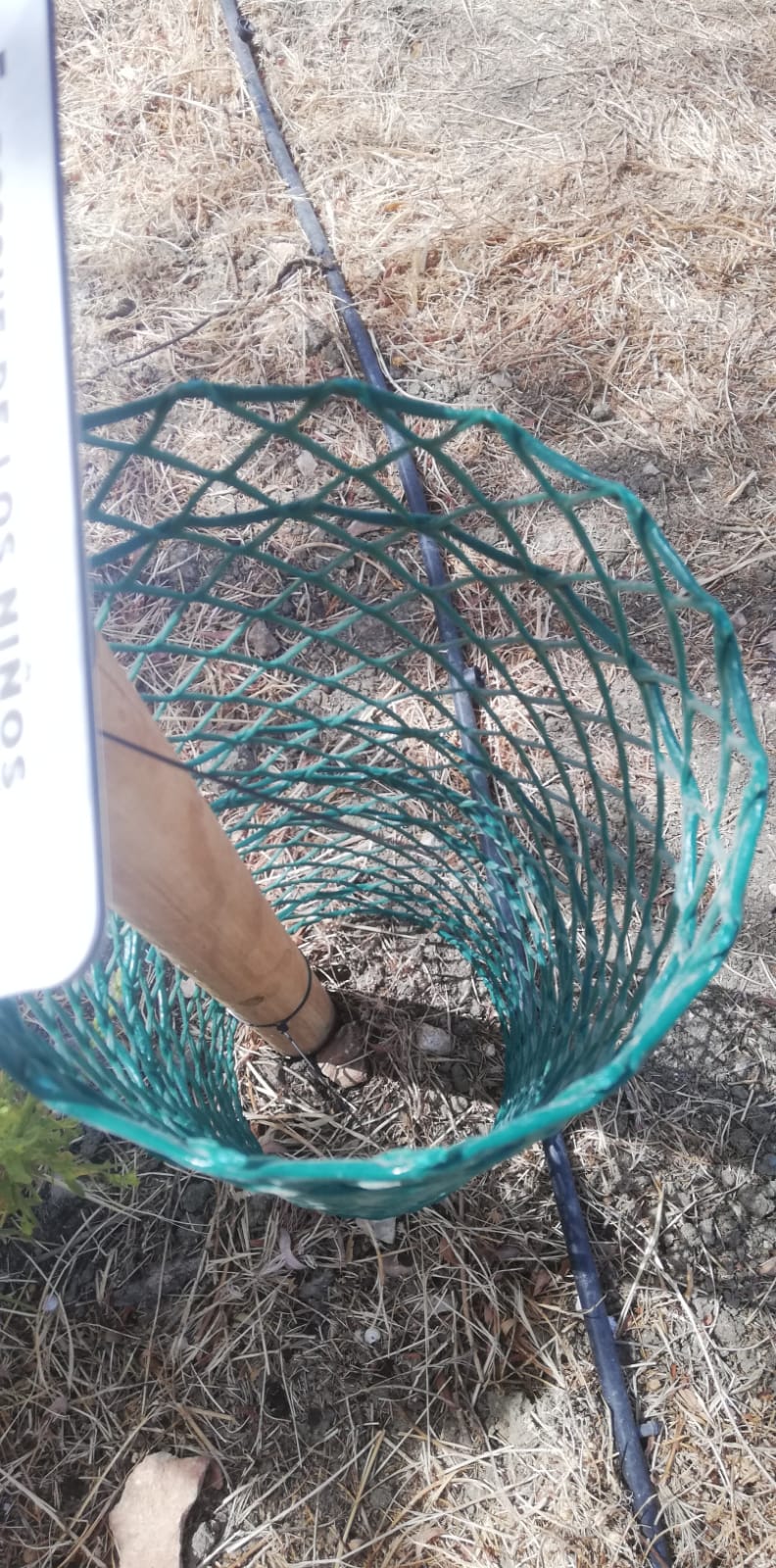 WhatsApp Image 2025 11 10 at 11.33.45 3