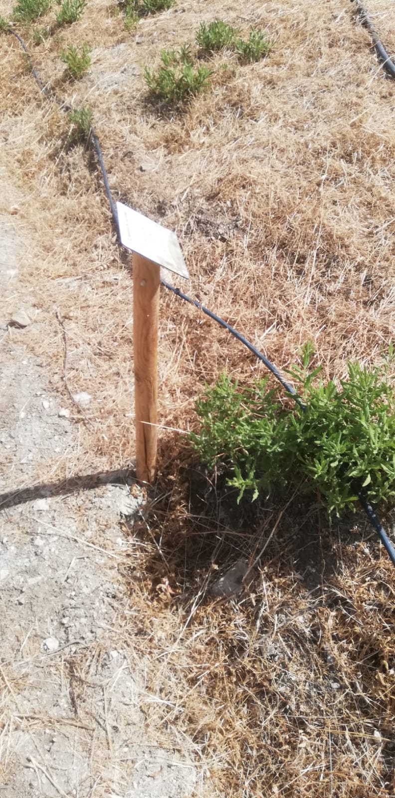 WhatsApp Image 2025 11 10 at 11.33.46 2