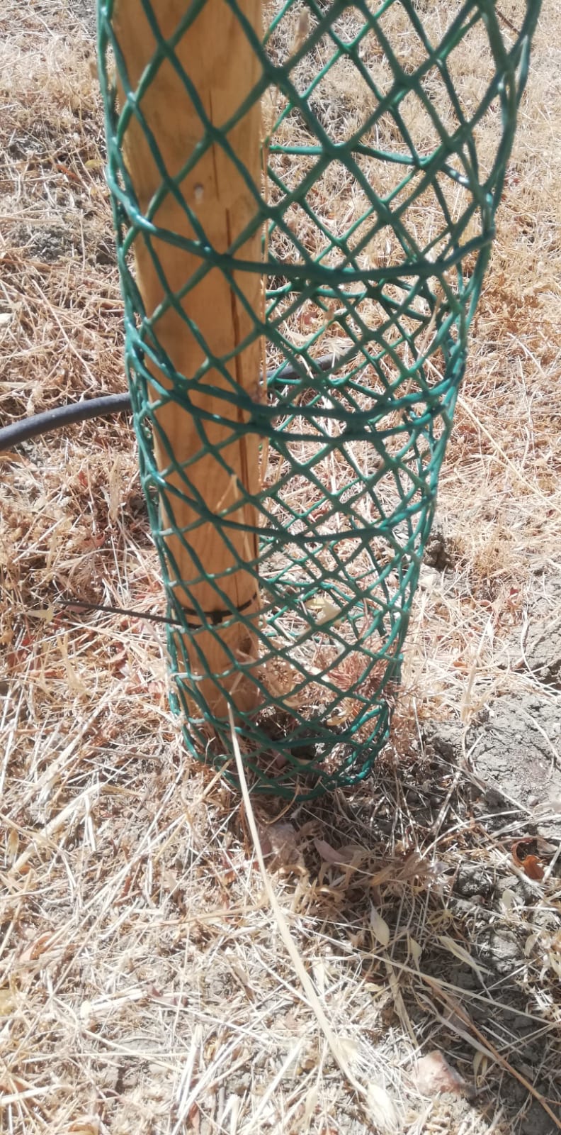 WhatsApp Image 2025 11 10 at 11.33.46 3