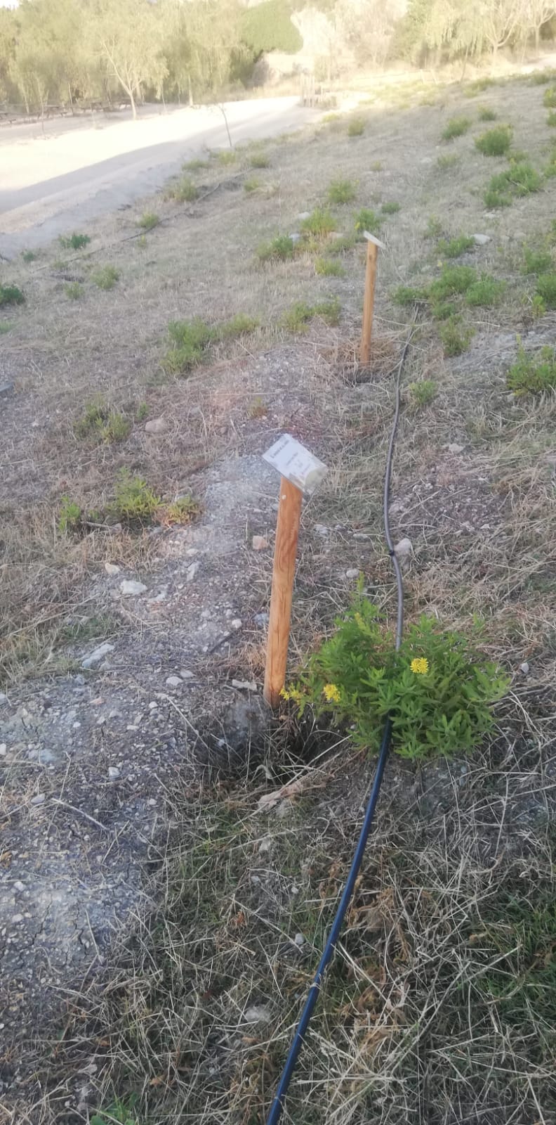 WhatsApp Image 2025 11 10 at 11.38.51