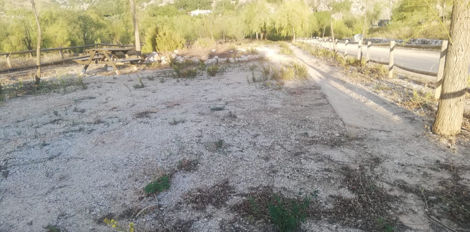 WhatsApp Image 2025 11 10 at 11.39.06 1