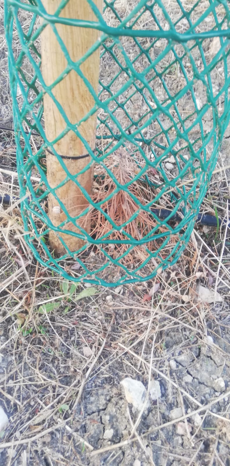 WhatsApp Image 2025 11 10 at 11.39.07