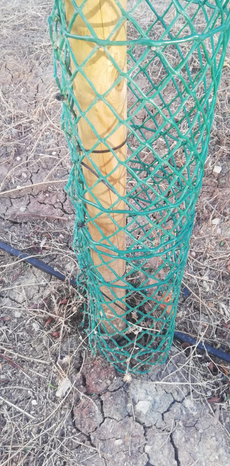 WhatsApp Image 2025 11 10 at 11.39.08