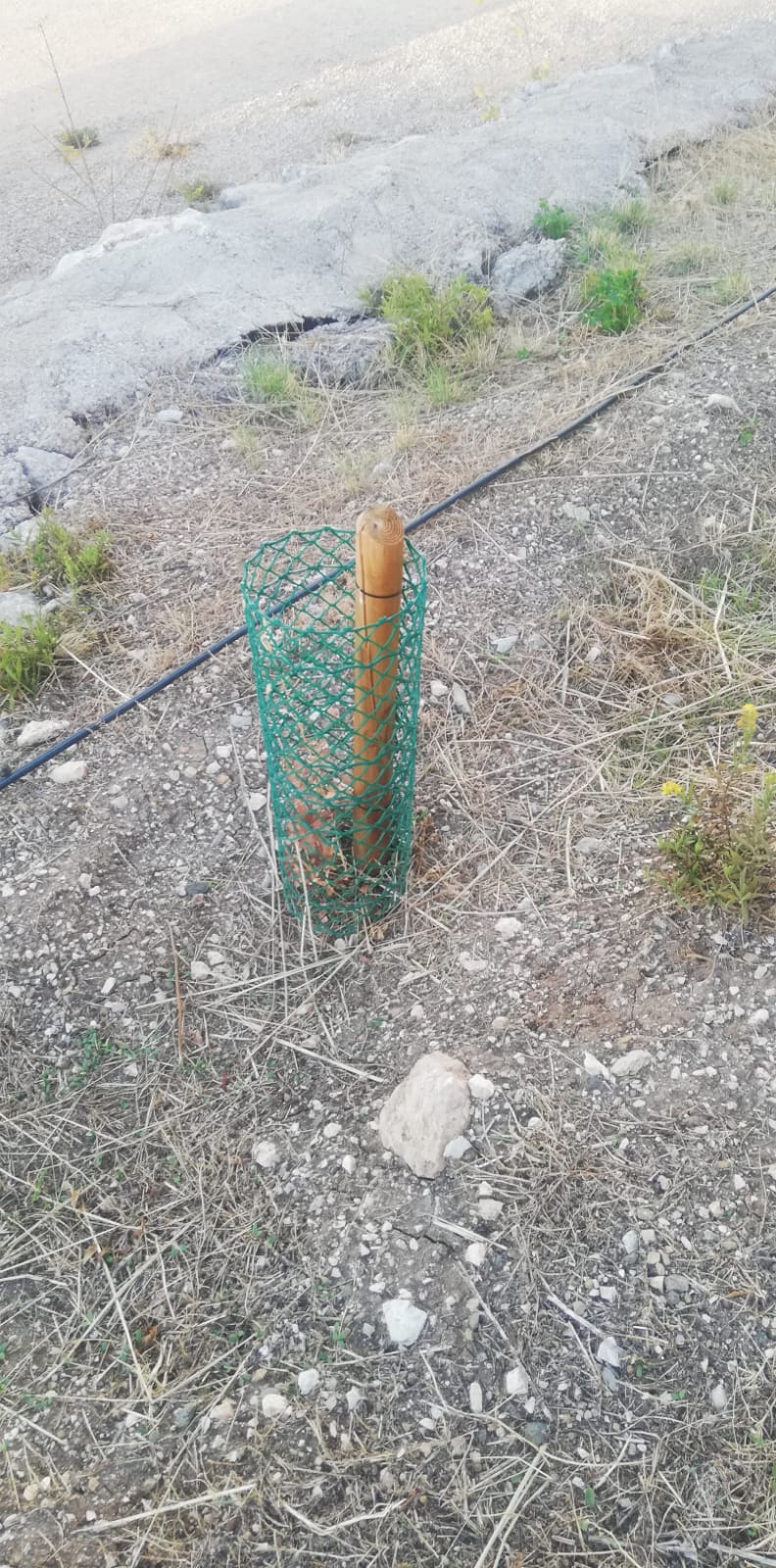 WhatsApp Image 2025 11 10 at 11.39.09 1