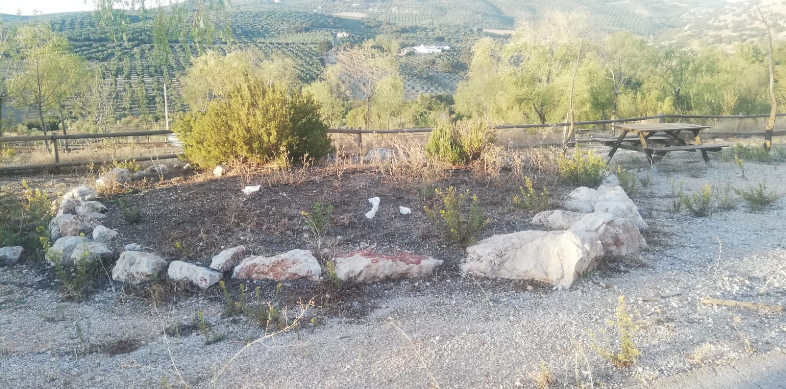 WhatsApp Image 2025 11 10 at 11.39.09