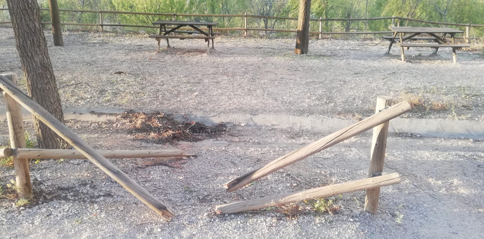 WhatsApp Image 2025 11 10 at 11.39.10