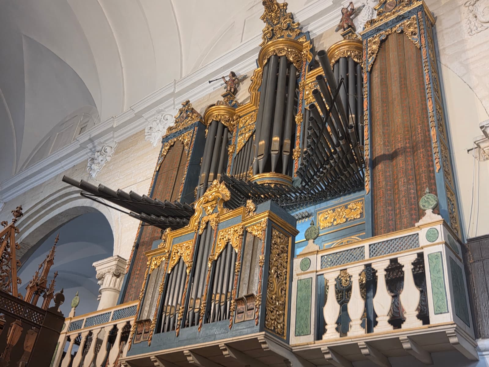 WhatsApp Image 2025 11 10 at 12.01.30