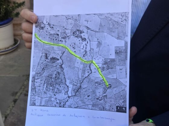 WhatsApp Image 2025 11 18 at 13.45.51