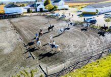 Equialia invita a vivir una Navidad a caballo con clases, terapias y campamentos ecuestres para todos
