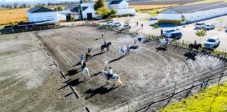 Equialia invita a vivir una Navidad a caballo con clases, terapias y campamentos ecuestres para todos