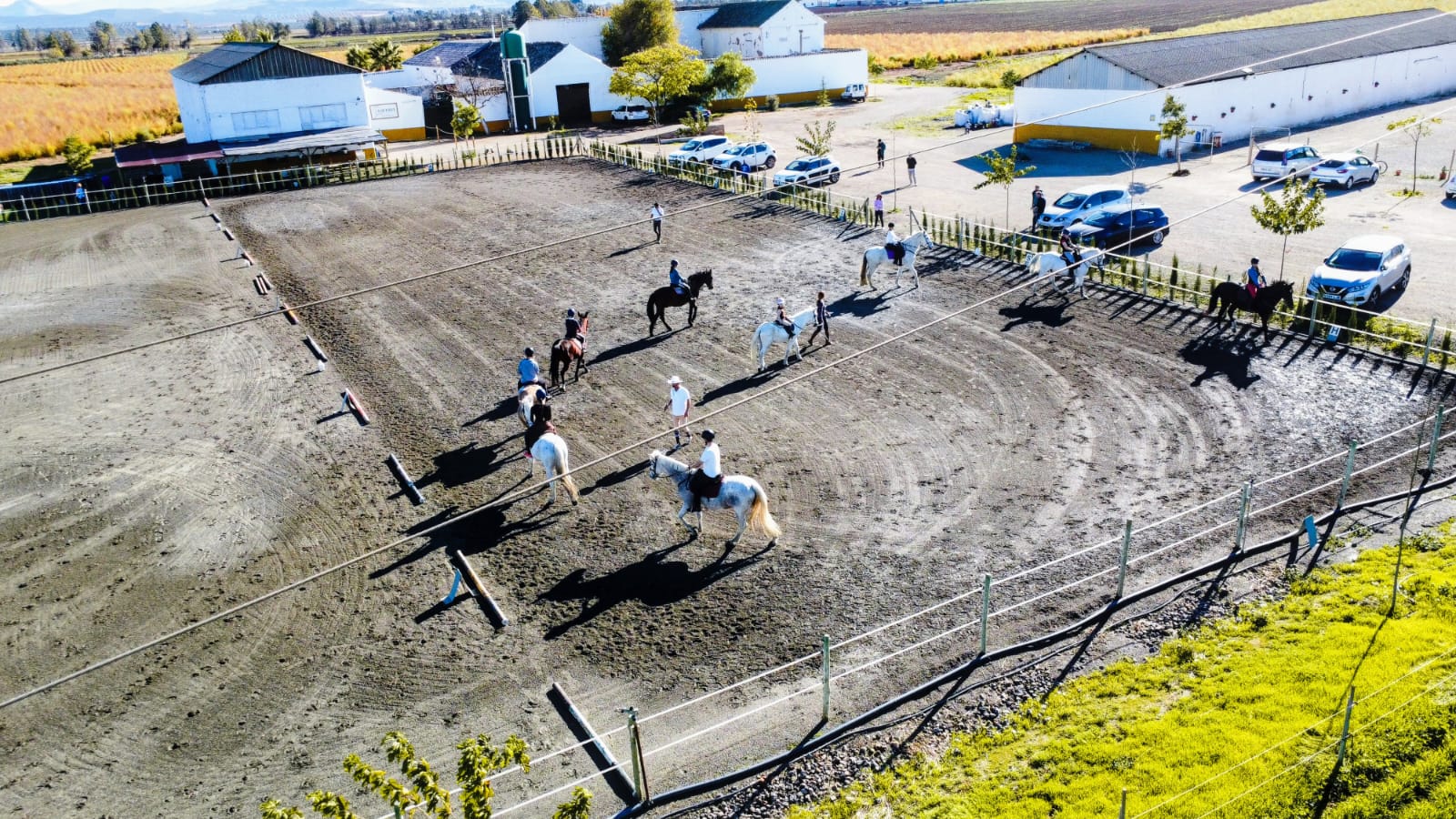 Equialia invita a vivir una Navidad a caballo con clases, terapias y campamentos ecuestres para todos 8 WhatsApp Image 2025 11 24 at 11.05.27