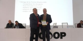 Dcoop premia los mejores aceites tempranos de la campaña 2025/26