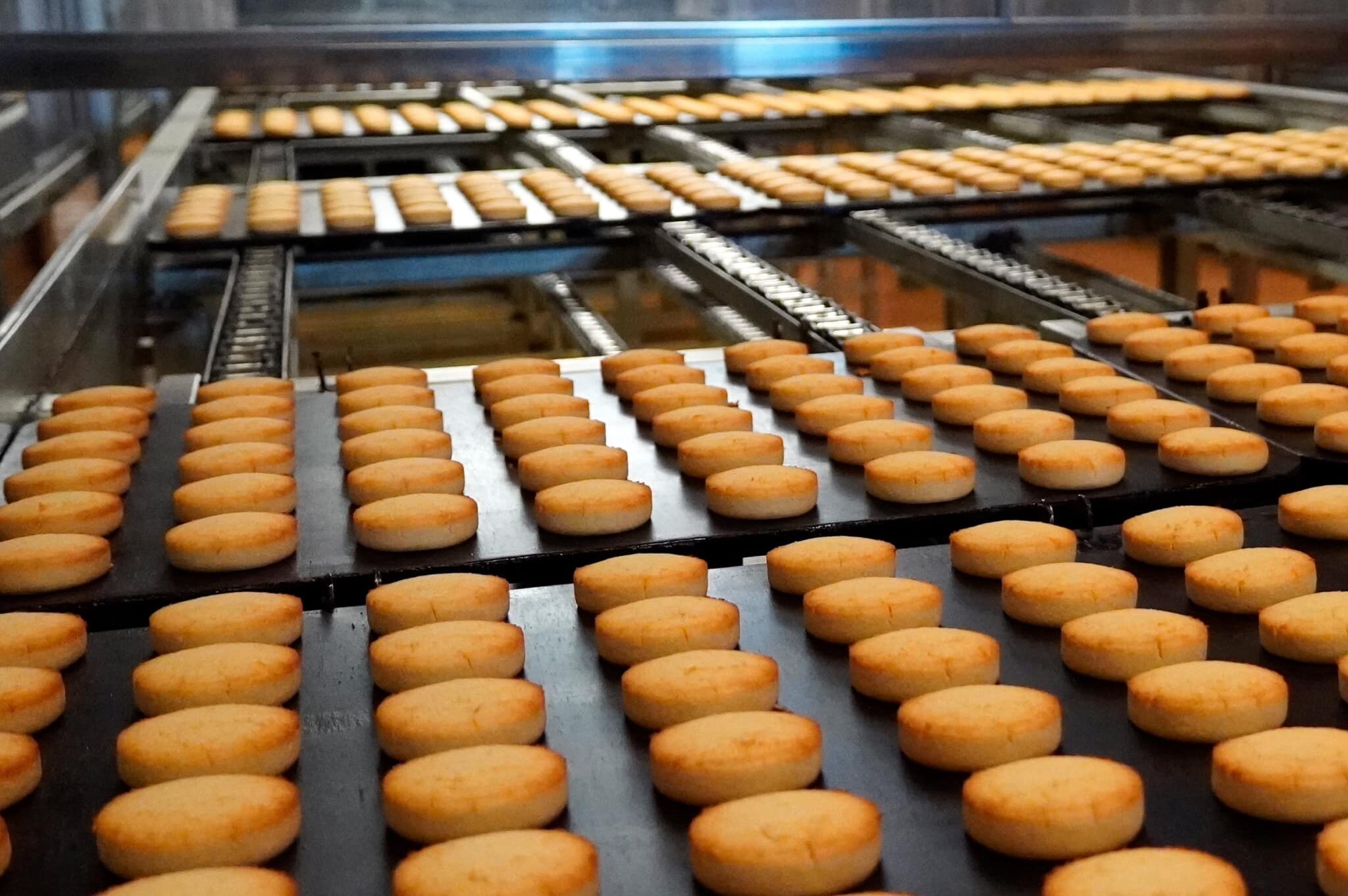 487508439 1060128769467709 3811716712126486499 n e1764582745165