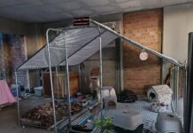 Fuente de Piedra condena el ataque «cruel e injustificable» a una colonia felina junto al antiguo silo