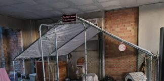 Fuente de Piedra condena el ataque «cruel e injustificable» a una colonia felina junto al antiguo silo