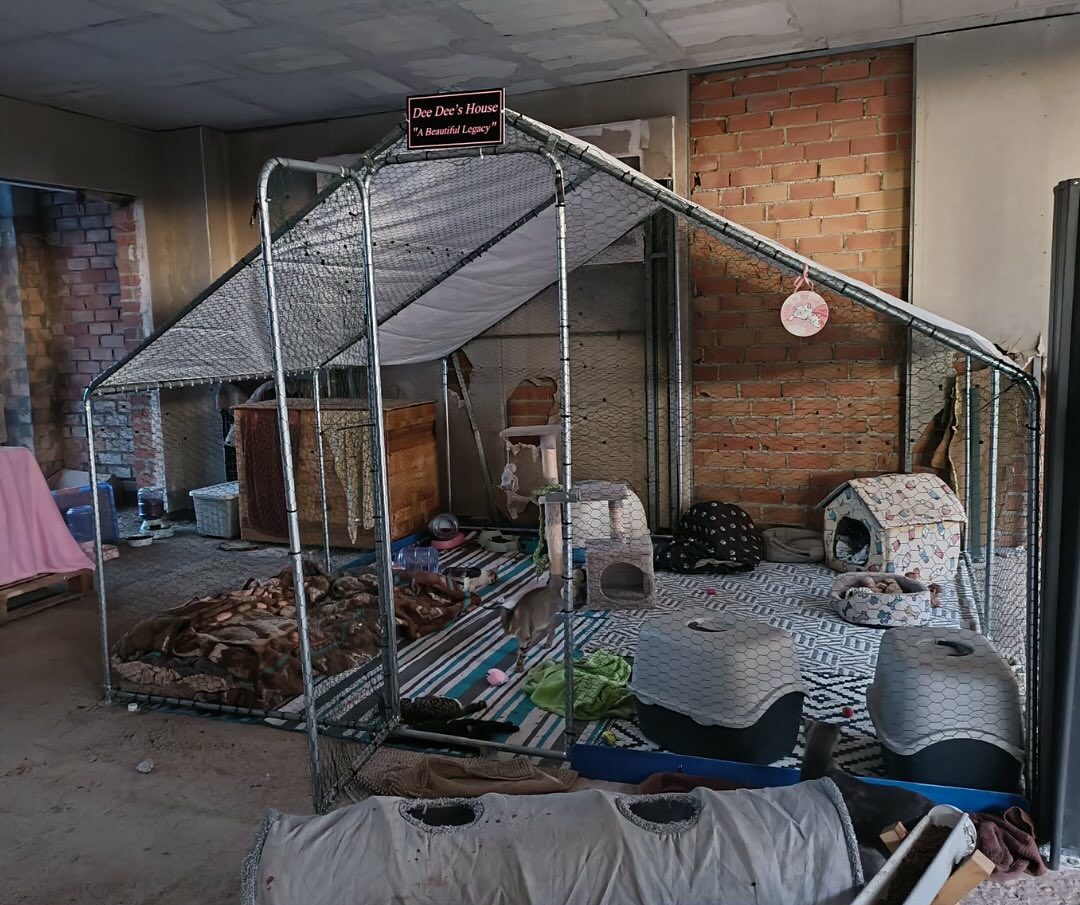 588902576 18099771469761773 2289128647818919539 n e1765270194297