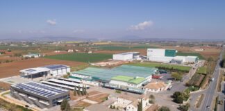 Dcoop, galardonada en los Premios Andalucía TRADE en la categoría de trayectoria empresarial