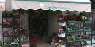 Flores, decoración y detalles únicos para las fiestas en Floristería la Gardenia