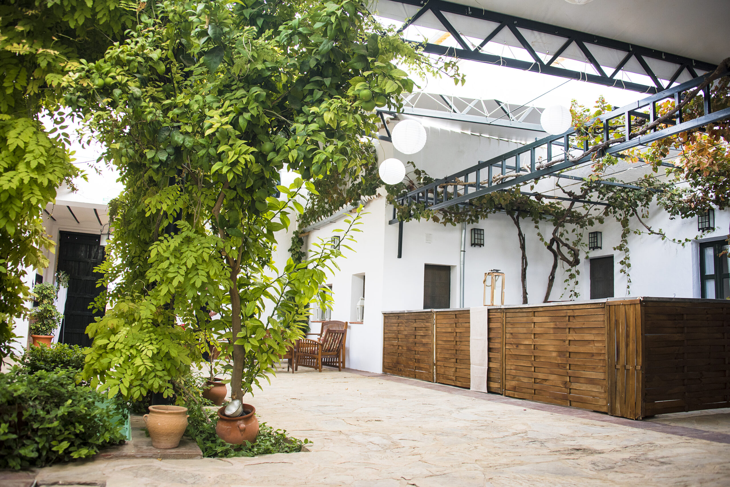 Vive tu día de ensueño en Jardines de El Cortijuelo 20 DSC 8821 scaled