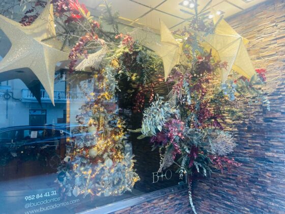 Decoracion de la clinica dental Bucodontos