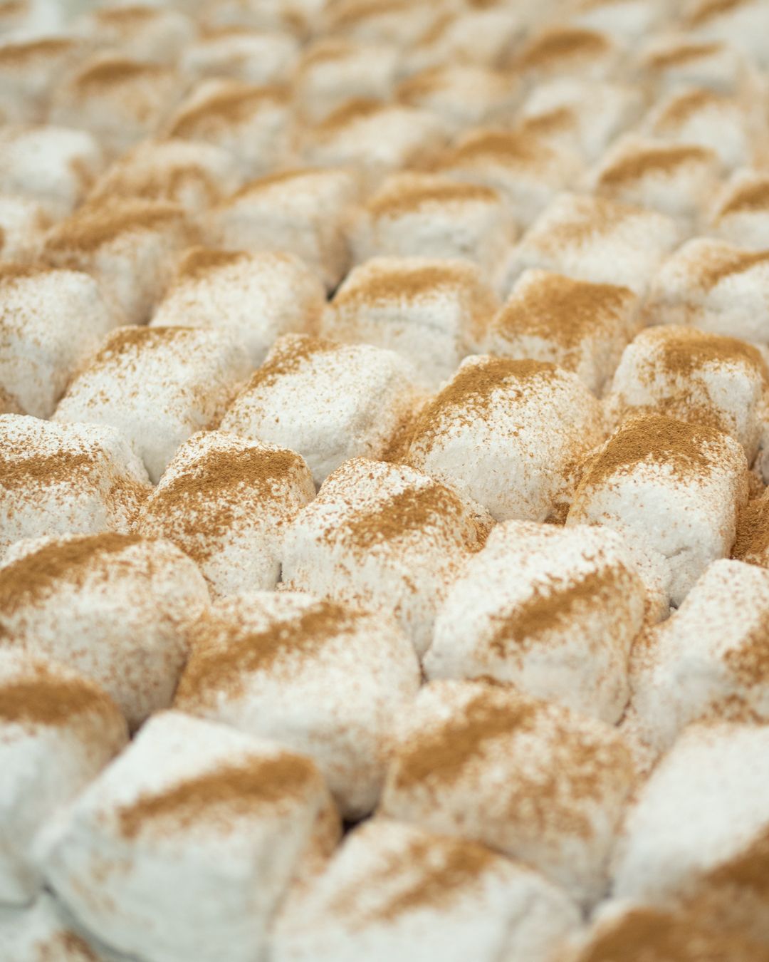 WhatsApp Image 2025 11 24 at 10.04.53 1 3