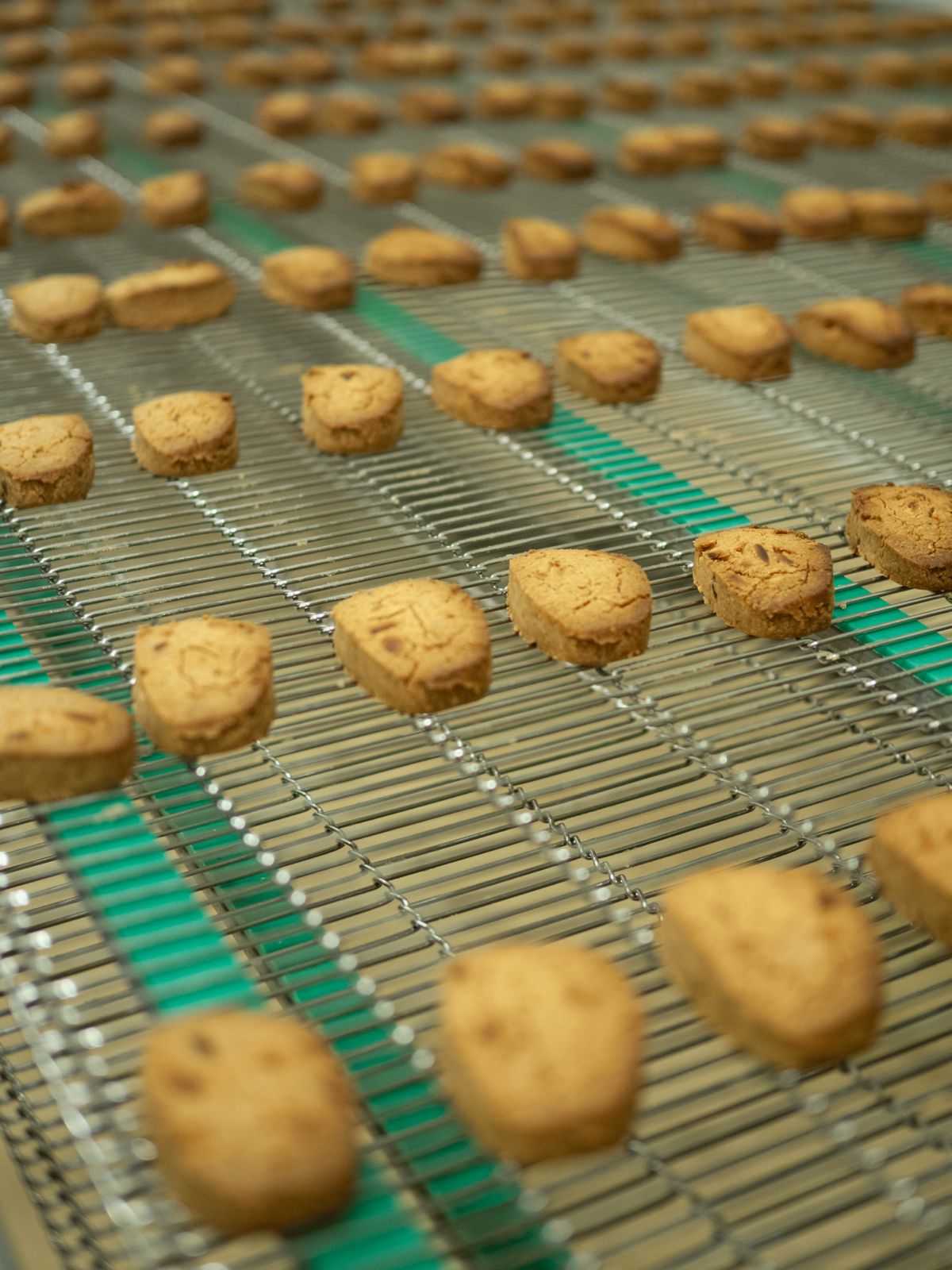 WhatsApp Image 2025 11 24 at 10.04.53 3 2