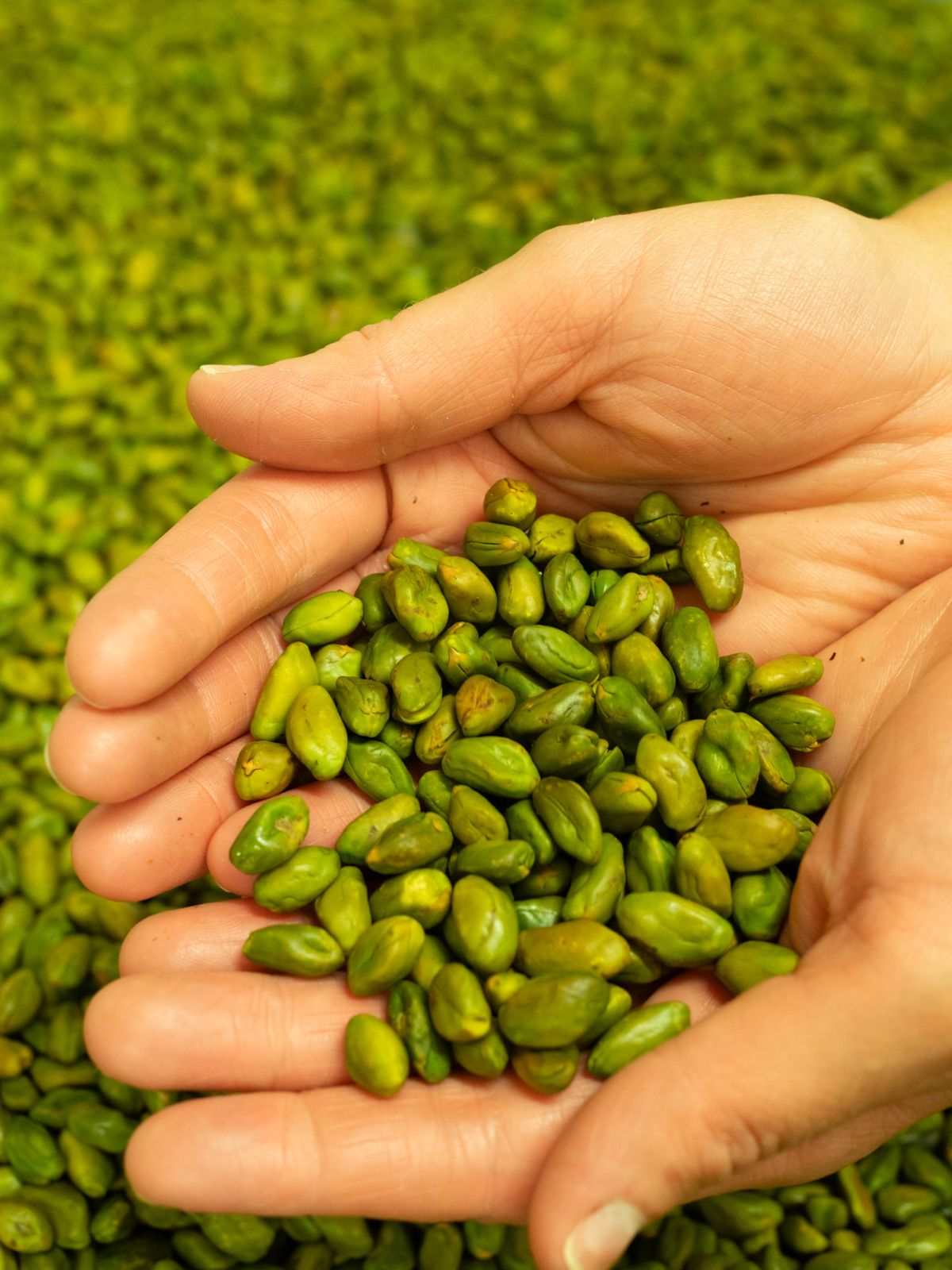 WhatsApp Image 2025 11 24 at 10.04.53 4 1