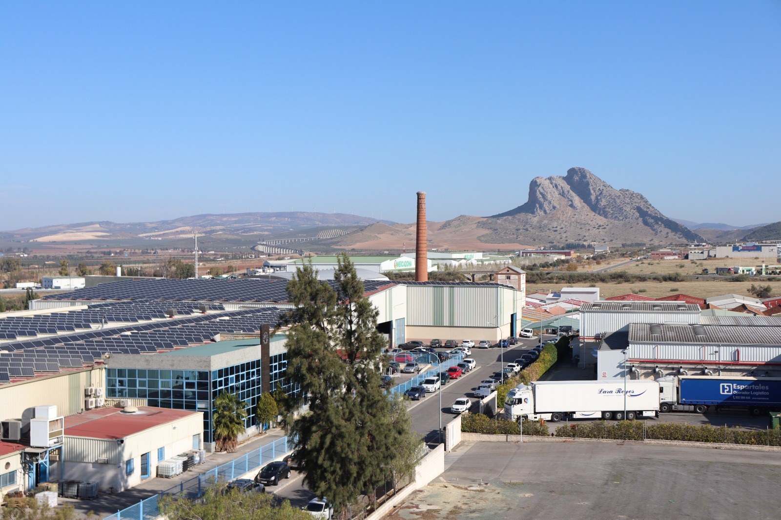 WhatsApp Image 2025 11 27 at 10.25.511