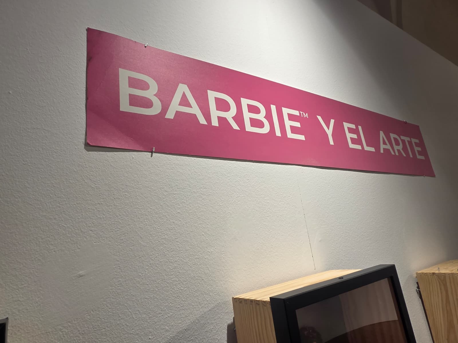 WhatsApp Image 2025 12 05 at 12.41.36