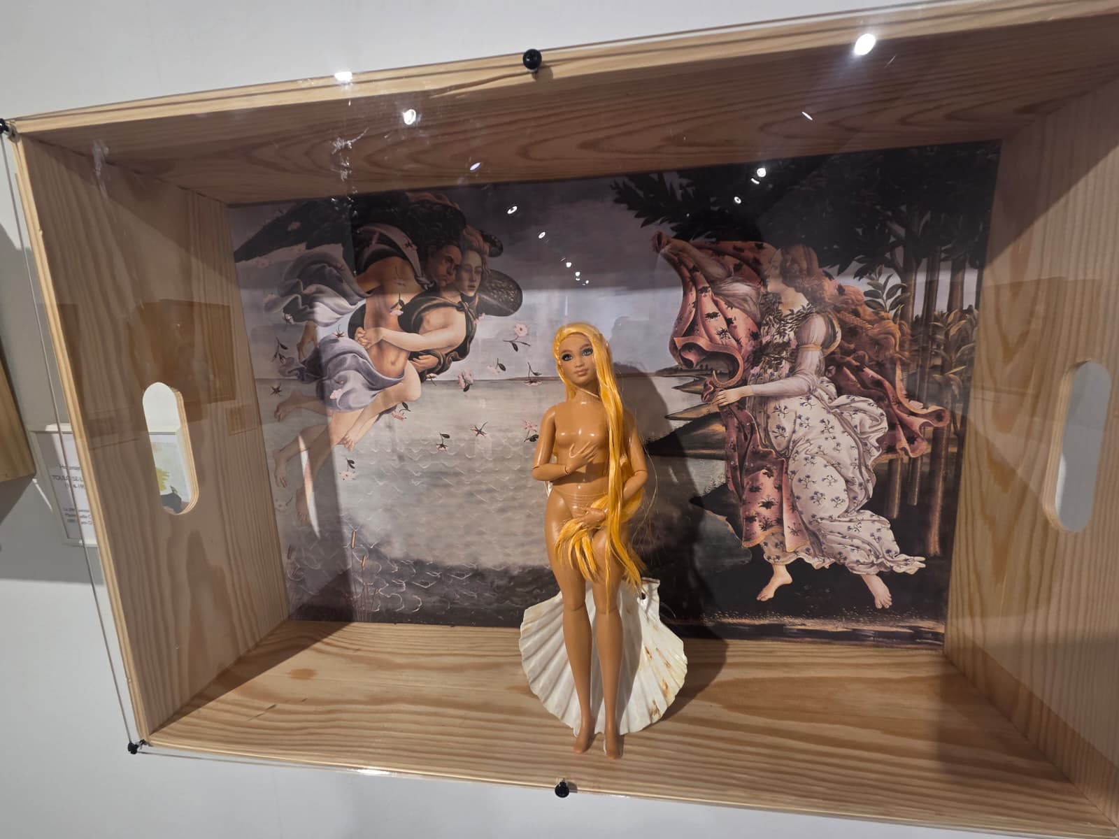 WhatsApp Image 2025 12 05 at 12.41.38