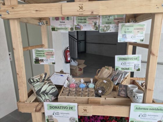 WhatsApp Image 2025 12 10 at 12.08.23 1