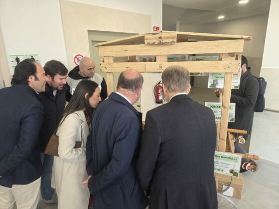 WhatsApp Image 2025 12 10 at 12.08.25 1