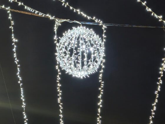 WhatsApp Image 2025 12 16 at 11.00.26