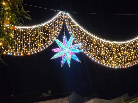 WhatsApp Image 2025 12 16 at 11.00.33