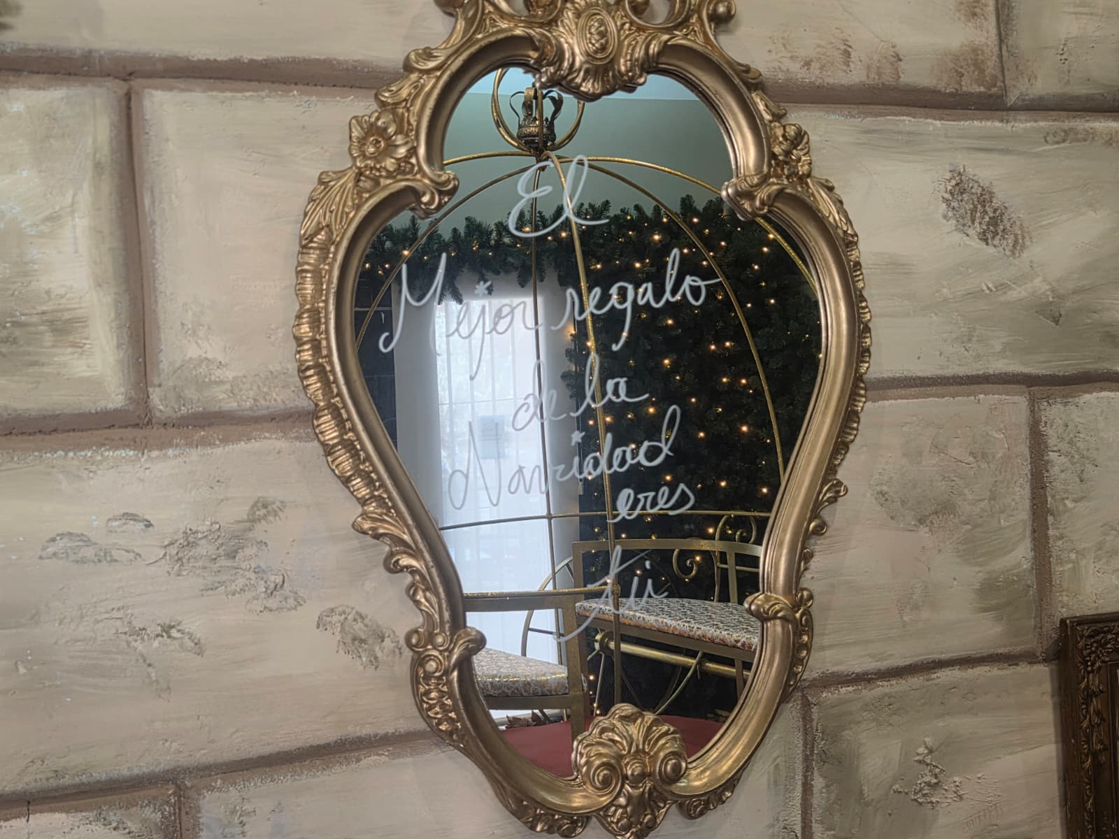 WhatsApp Image 2025 12 19 at 11.47.49