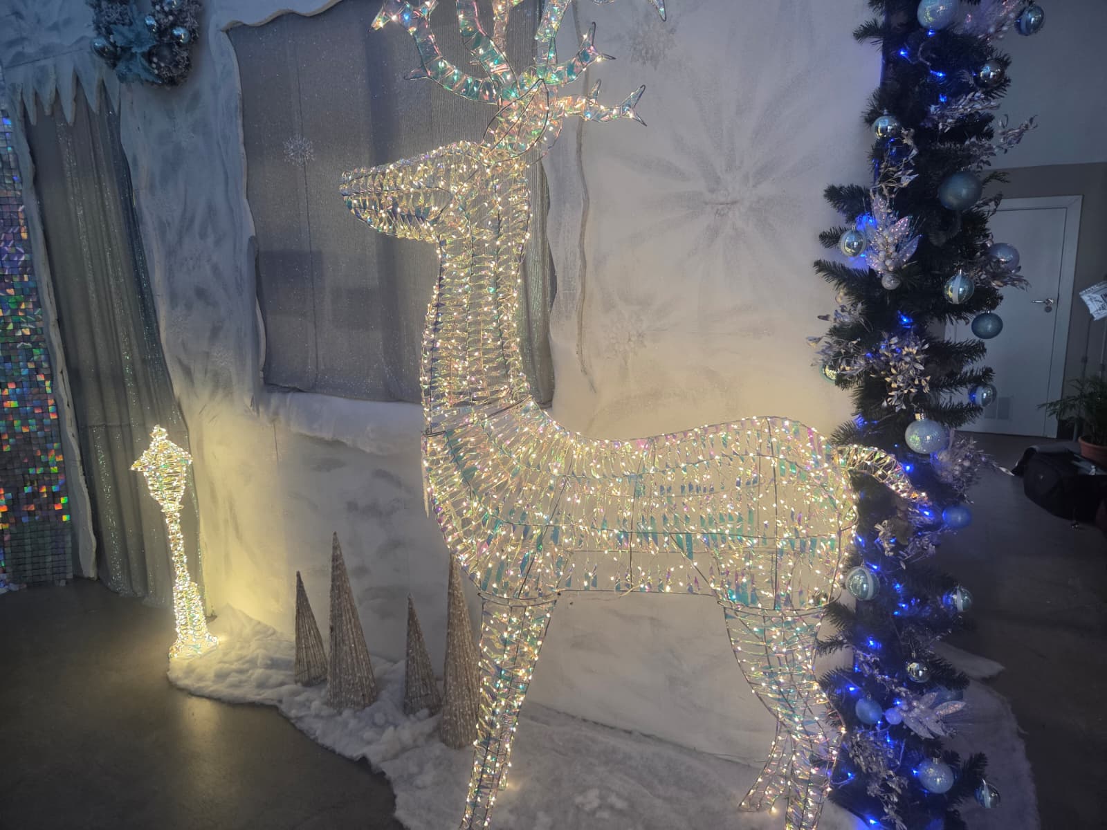 WhatsApp Image 2025 12 19 at 11.47.53 1