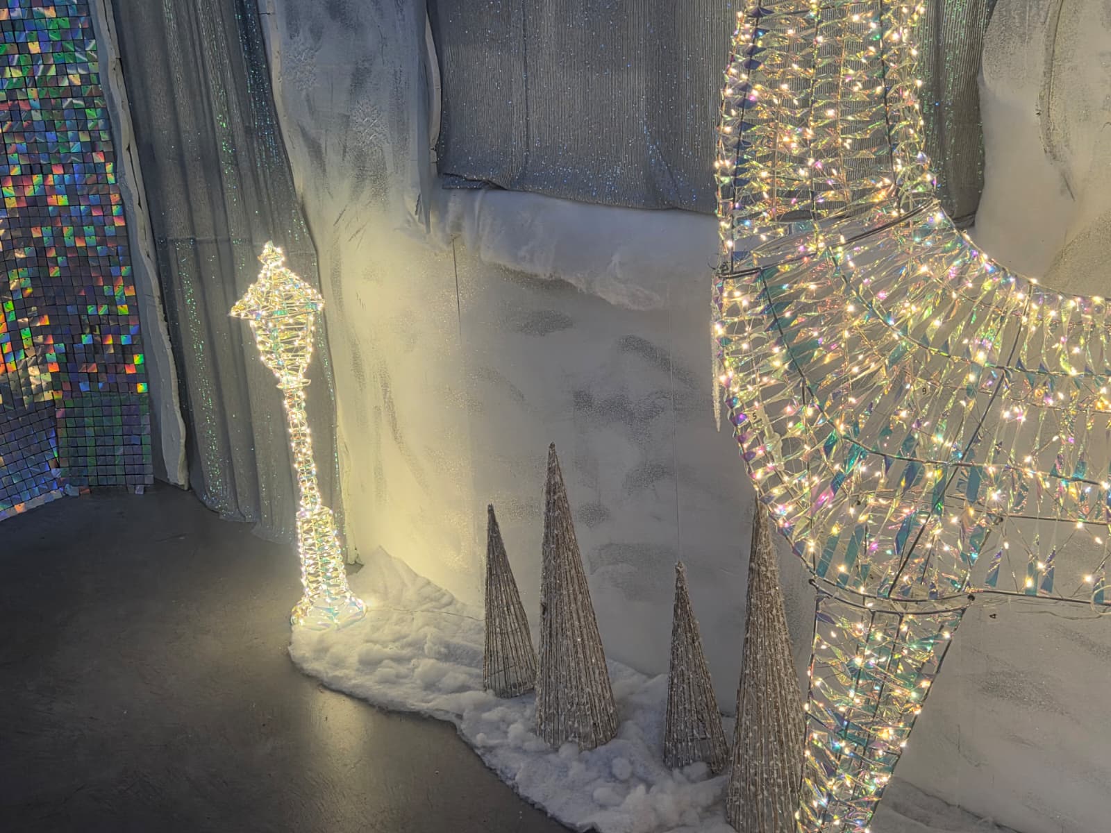 WhatsApp Image 2025 12 19 at 11.47.53