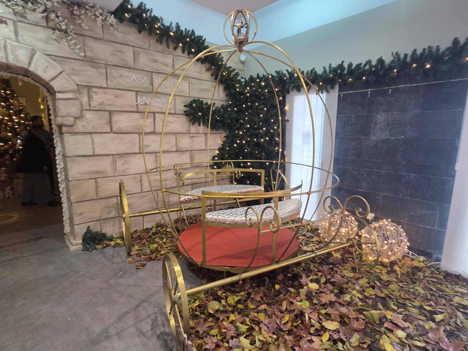 WhatsApp Image 2025 12 19 at 11.48.18