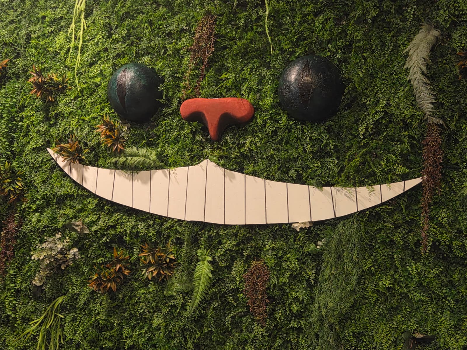 WhatsApp Image 2025 12 19 at 11.48.20