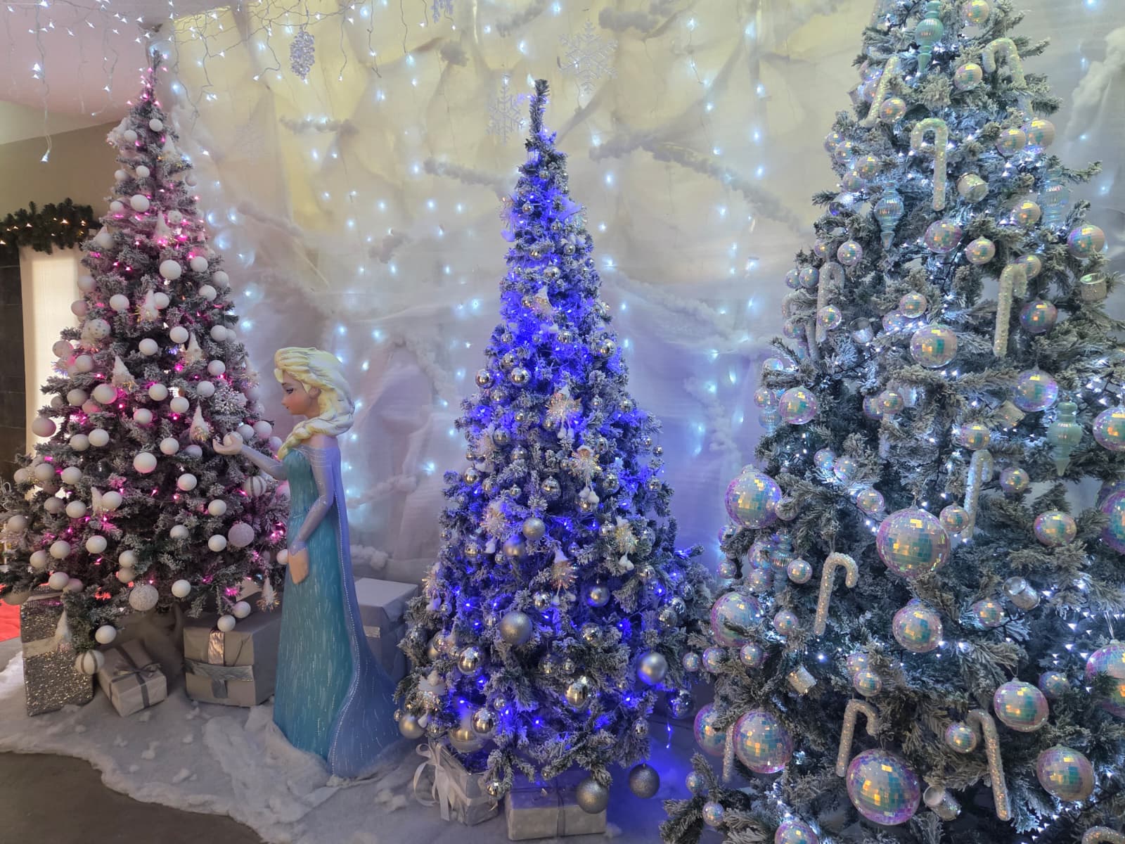 WhatsApp Image 2025 12 19 at 11.48.25 1