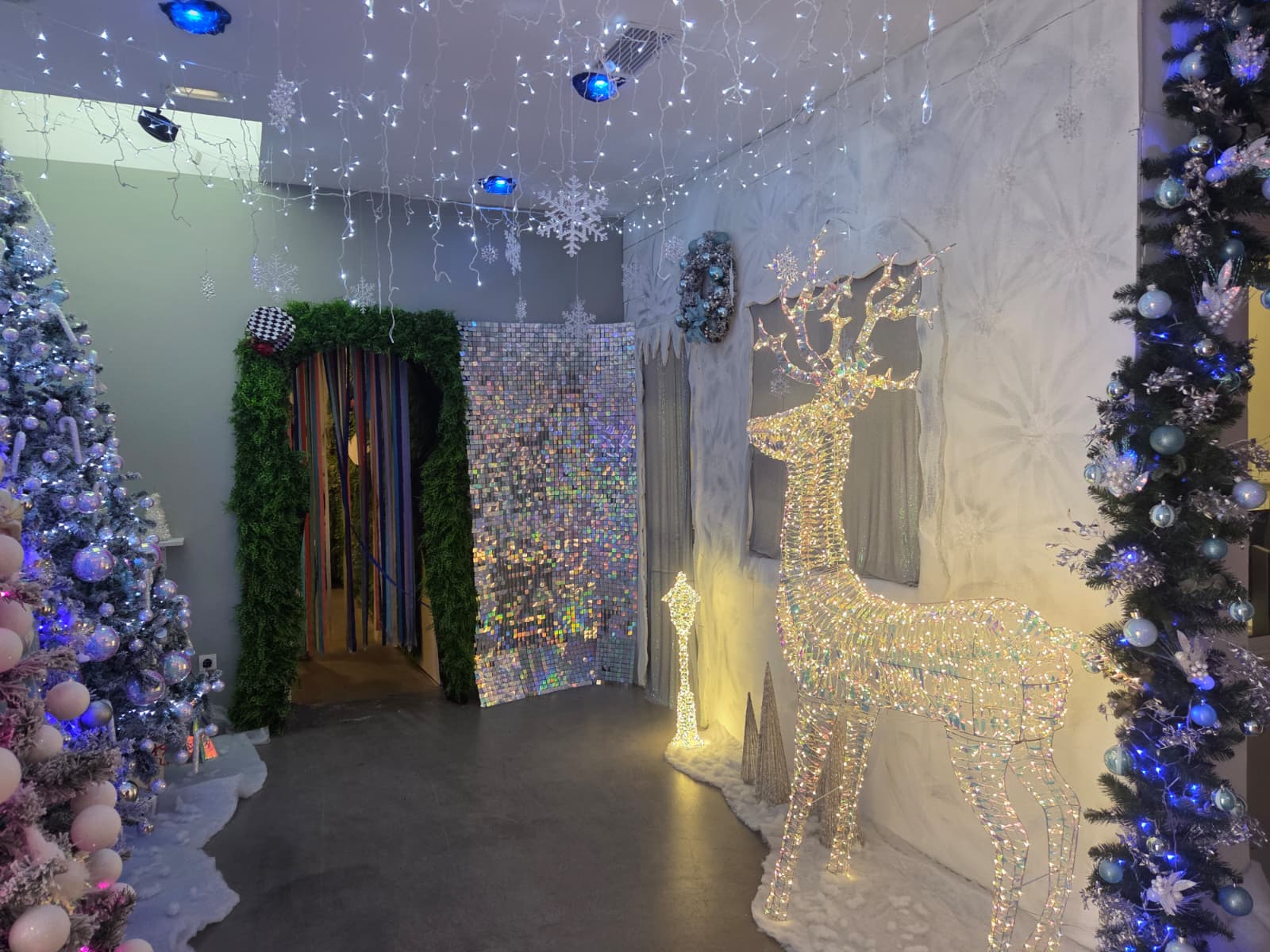 WhatsApp Image 2025 12 19 at 11.48.25 2