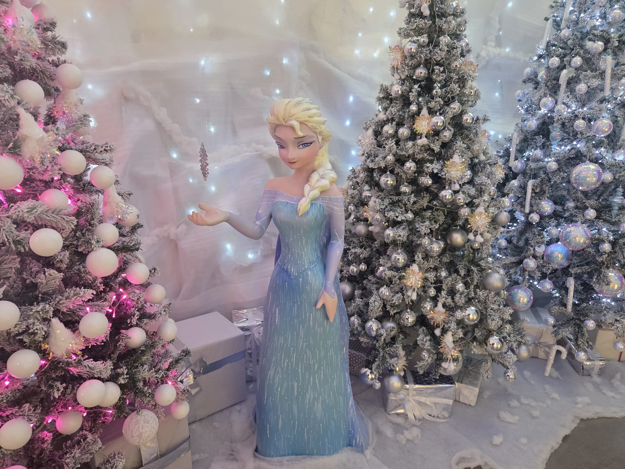 WhatsApp Image 2025 12 19 at 11.48.25