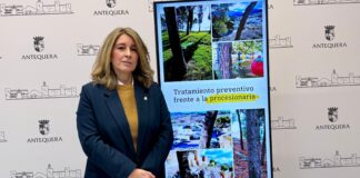 Una campaña preventiva «de récord» frente a la procesionaria en zonas verdes de Antequera y pedanías
