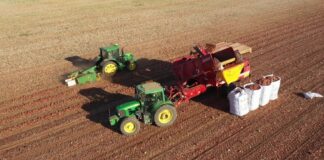 La Vega de Antequera cierra un buen año en las cosechas de espárrago, cebolla y patata