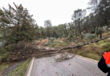 Cortada la carretera entre Cuevas de San Marcos y Rute por las inundaciones