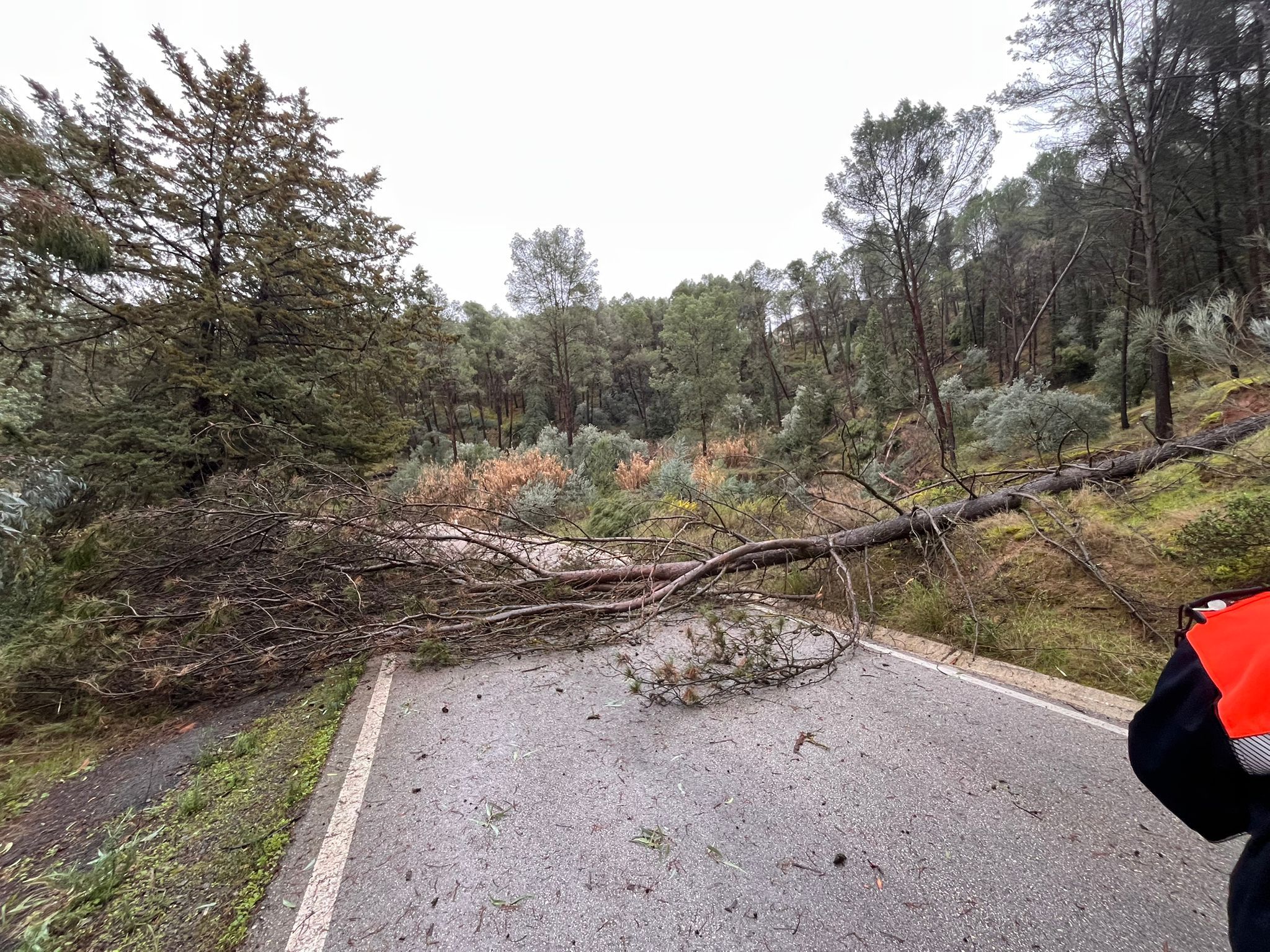 622004619 122193738974532946 3621189317761507931 n