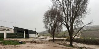El Ayuntamiento de Cañete la Real pide a los vecinos no salir de casa ante el temporal