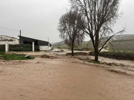 622702956 776181525505958 3206122184356354081 n